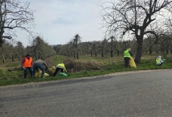 Podziękowanie za udział w akcji „Sprzątanie świata w Gminie Sadkowice”