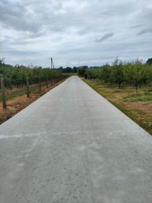 Droga w miejscowości Nowe Lutobory. Po prawej stronie sad wiśniowy. Po lewej stronie sad jabłoniowy i słup energetyczny
