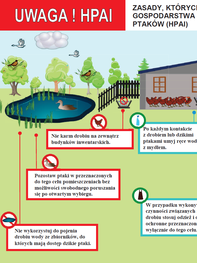 Akcja informacyjna Powiatowego Lekarza Weterynarii dot. HPAI